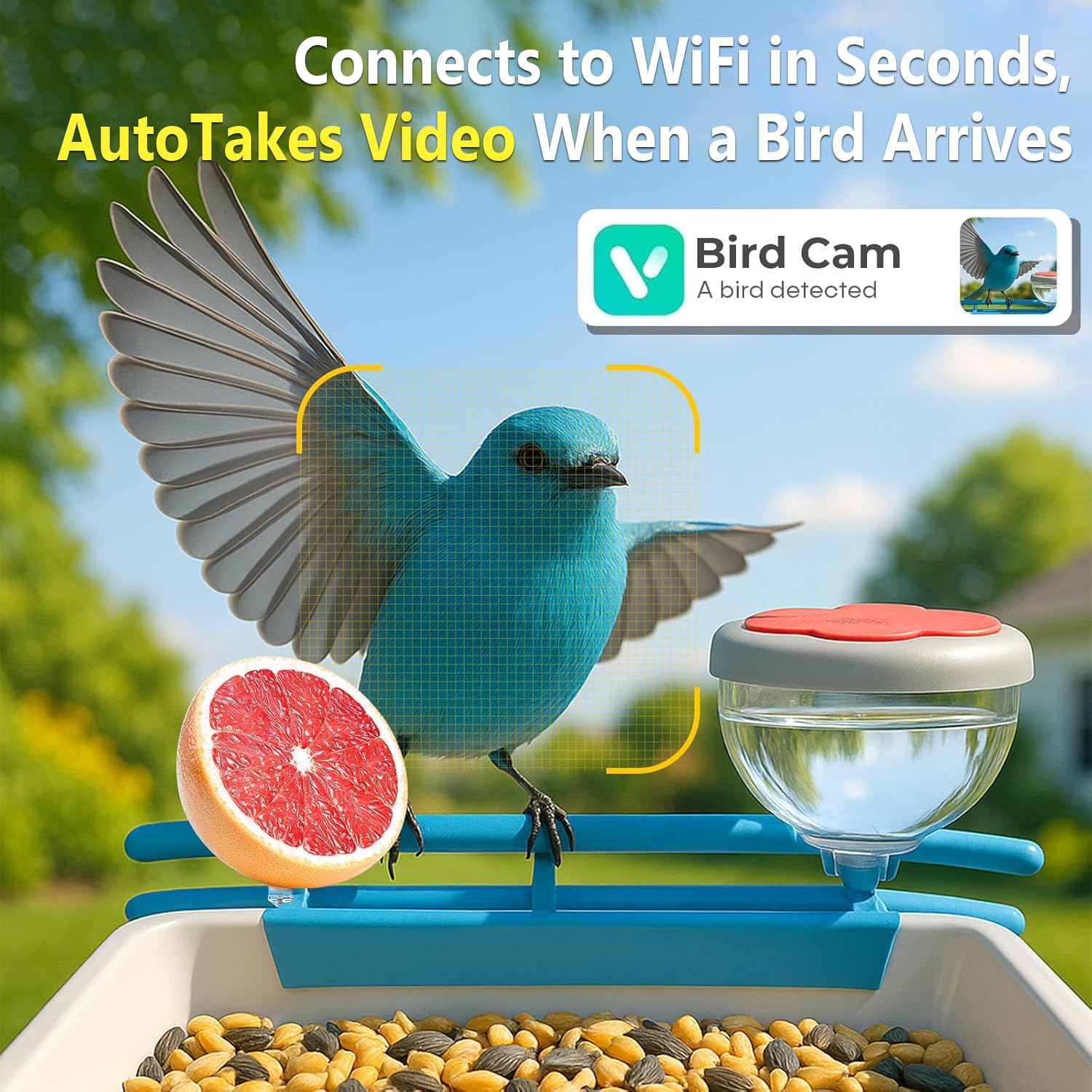 Akıllı Kuş Besleyici Kamera 2K - Motion Sensor Outdoor incelemesi ve fiyatı